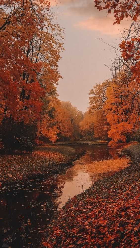 Iphone Wallpaper Autumn Images | Free Photos, PNG Stickers, Wallpapers &  Backgrounds - rawpixel
