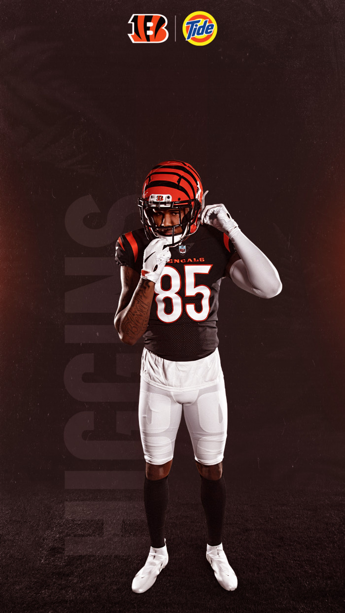 Bengals Wallpaper