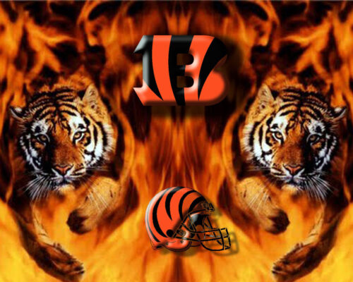 Bengals Wallpaper