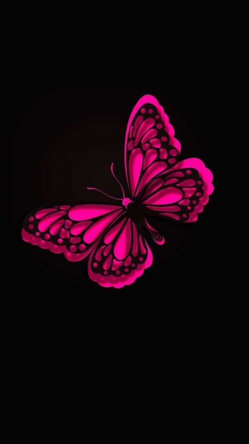 Butterflies Wallpaper