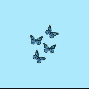 Butterfly Aesthetic Wallpaper - EnJpg