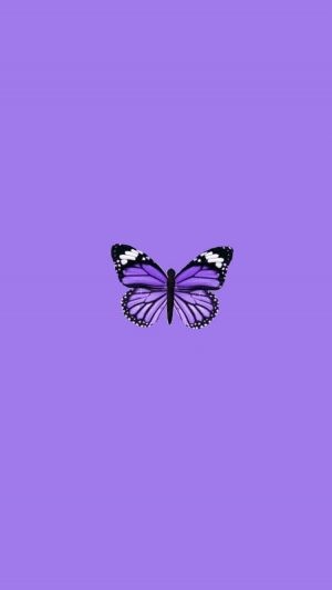 Purple Butterfly Wallpaper - EnJpg