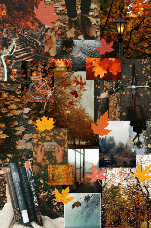 Fall Aesthetic Wallpaper