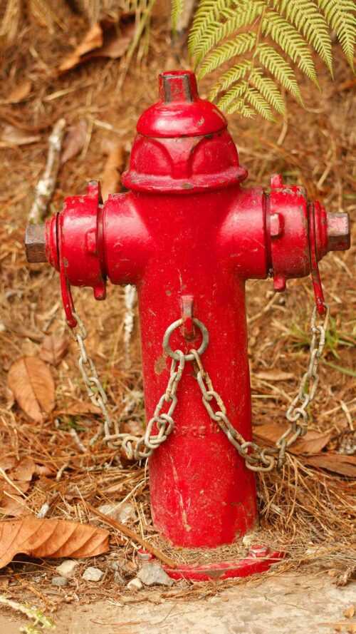 Fire Hydrant Wallpaper - EnJpg