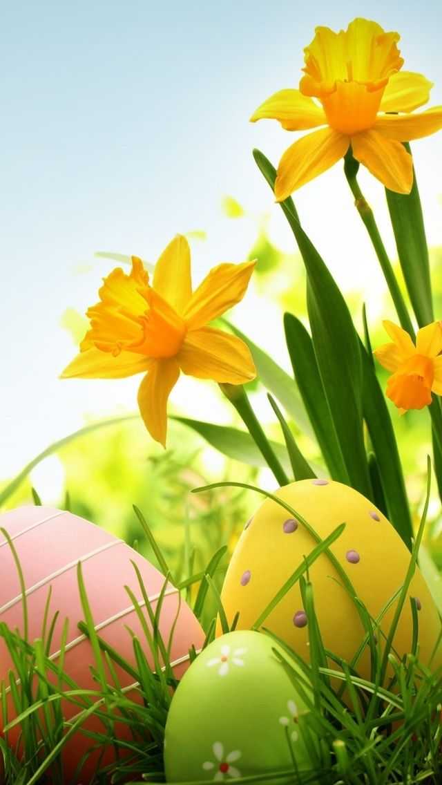 Download Celebrating the Resurrection - Religious Easter Background |  Wallpapers.com