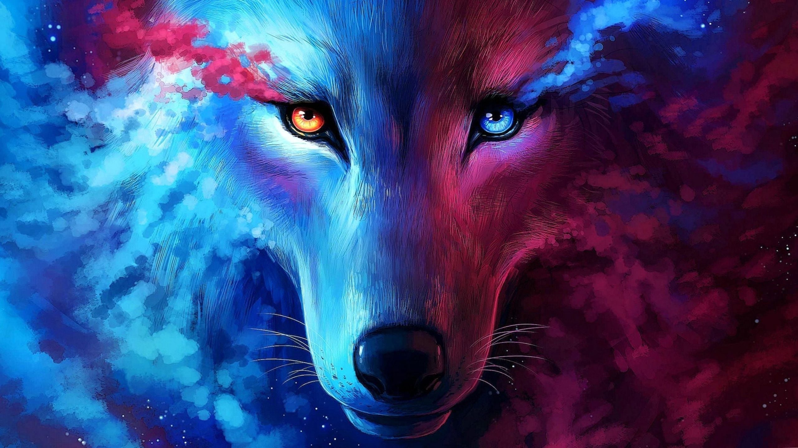 Galaxy Wolf Hintergrundbild - EnJpg