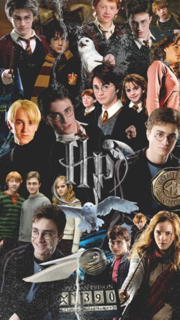 Harry Potter Wallpaper