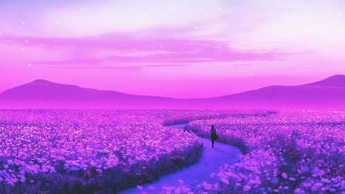 Lavender Wallpaper