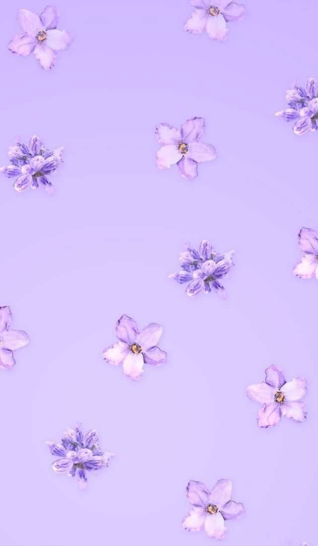 Light Purple Hand-drawn Flowers Aesthetic Mobile Phone Wallpaper Background  Vertical Backgrounds | PSD Free Download - Pikbest