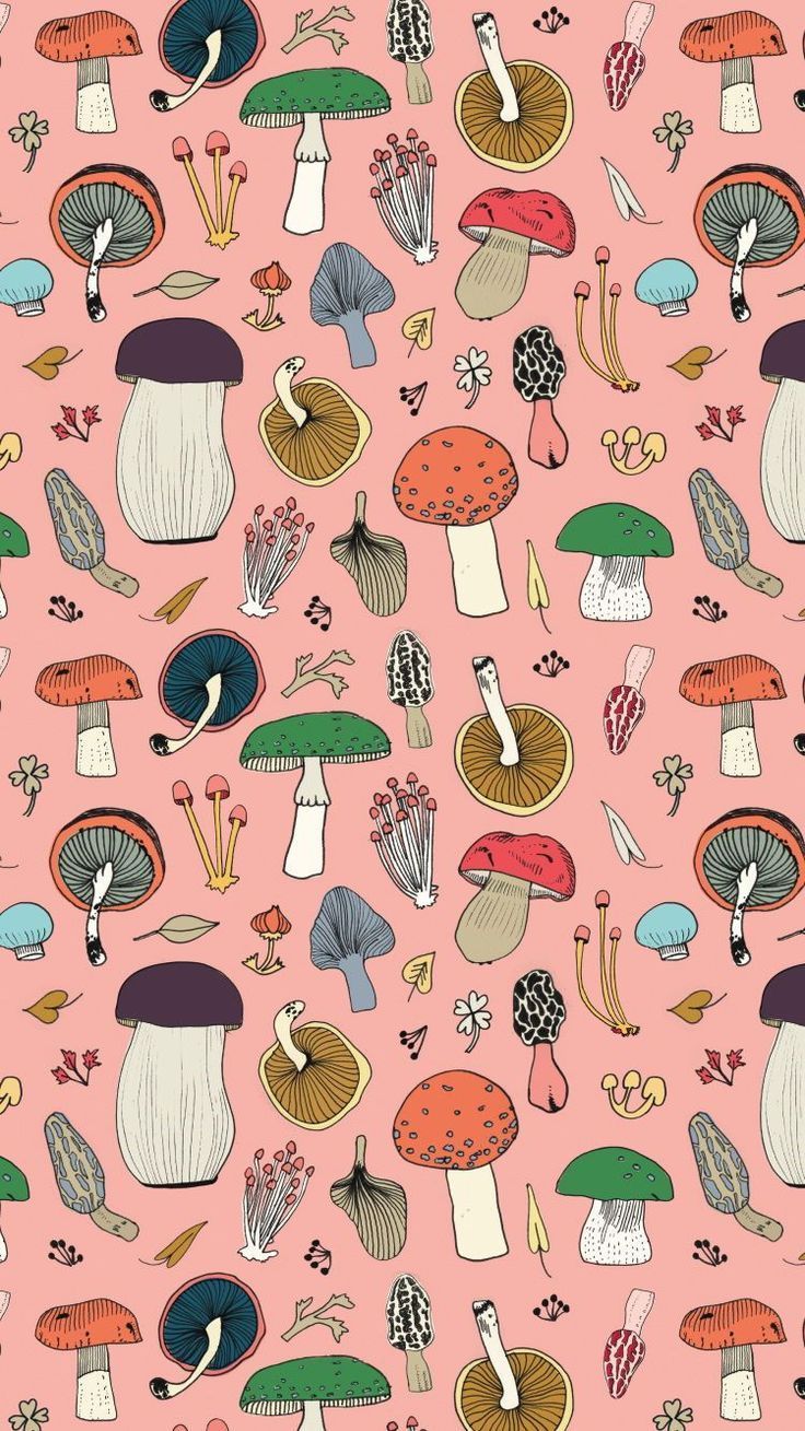 Mushroom Wallpaper - EnJpg