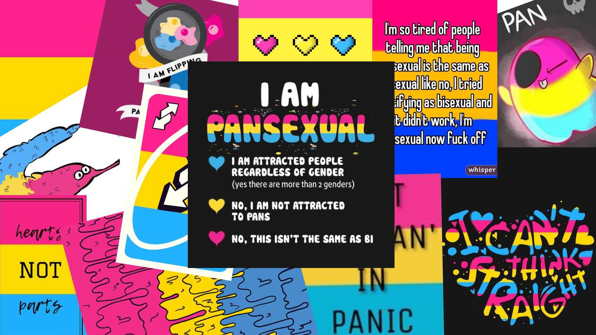Pansexual Image To U