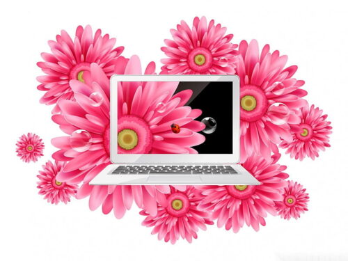 Pink Laptop Wallpaper