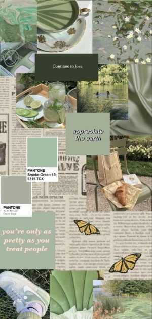 Sage Green Aesthetic Wallpaper - EnJpg