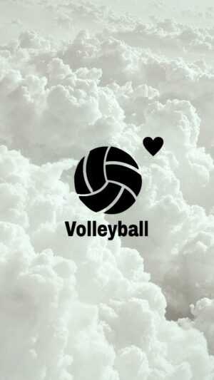 Volleyball Wallpaper - EnJpg