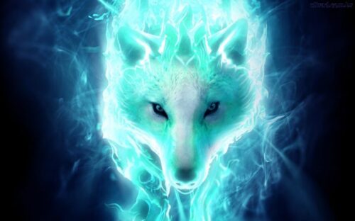 Wolf Wallpaper